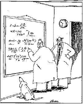 QUANTUM FIELD THEORY PHYS-7147 - Spring 2003 schedule