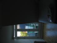 img019.jpeg.small.jpeg