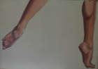 thumbs/imgp0341.png